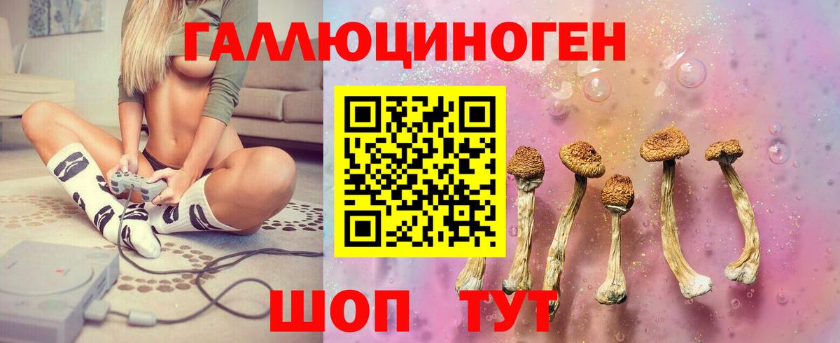 как найти закладки  Вход с VPN  Галлюциногенные грибы GOLDEN TEACHER  Боровичи  Псилоцибиновые грибы GOLDEN TEACHER 
